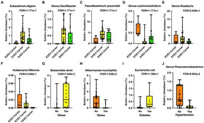 Gut microbiome association with brain imaging markers, APOE genotype, calcium and vegetable intakes, and obesity in healthy aging adults